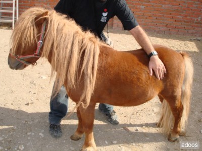 C&oacute;mo te ponis!!